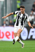 Andrea Cambiaso